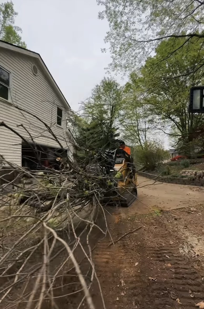Professional tree service cleanup and debris removal in Kirkland Tree service cleanup crew removing branches and debris from residential property