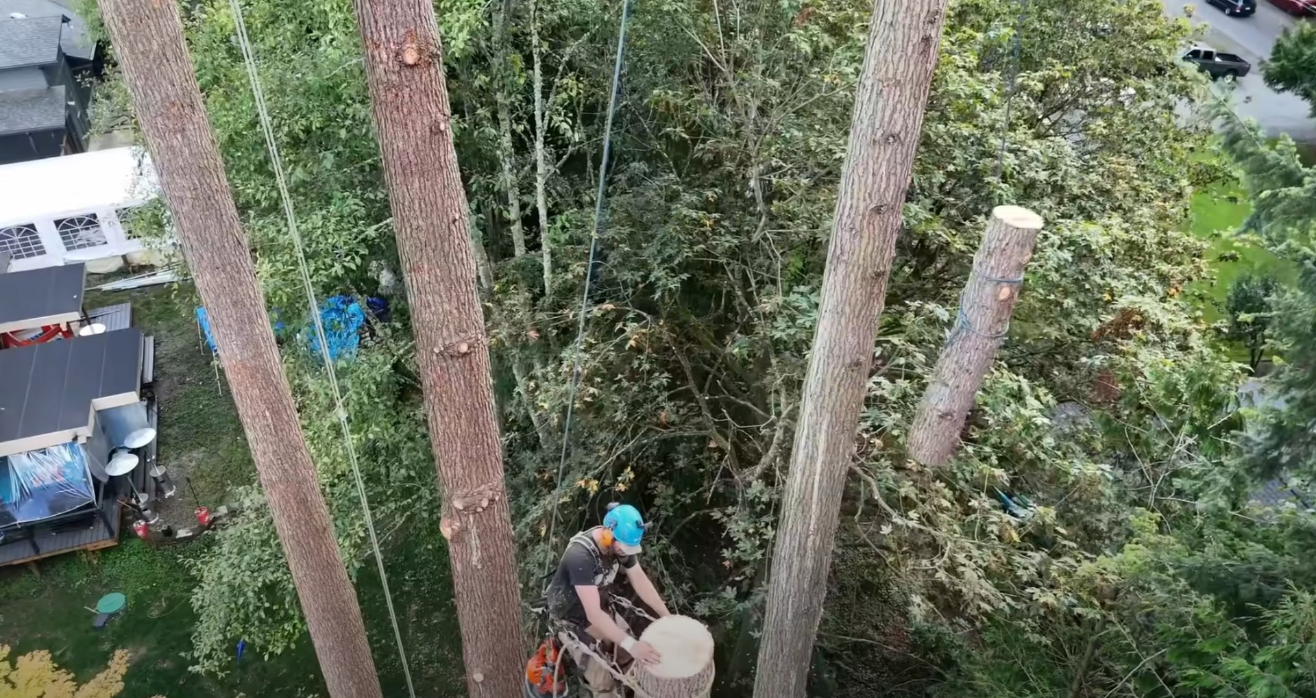 Comprehensive tree service work performed with safety and precision in residential areas Aerial view of professional tree service work being performed safely near residential buildings