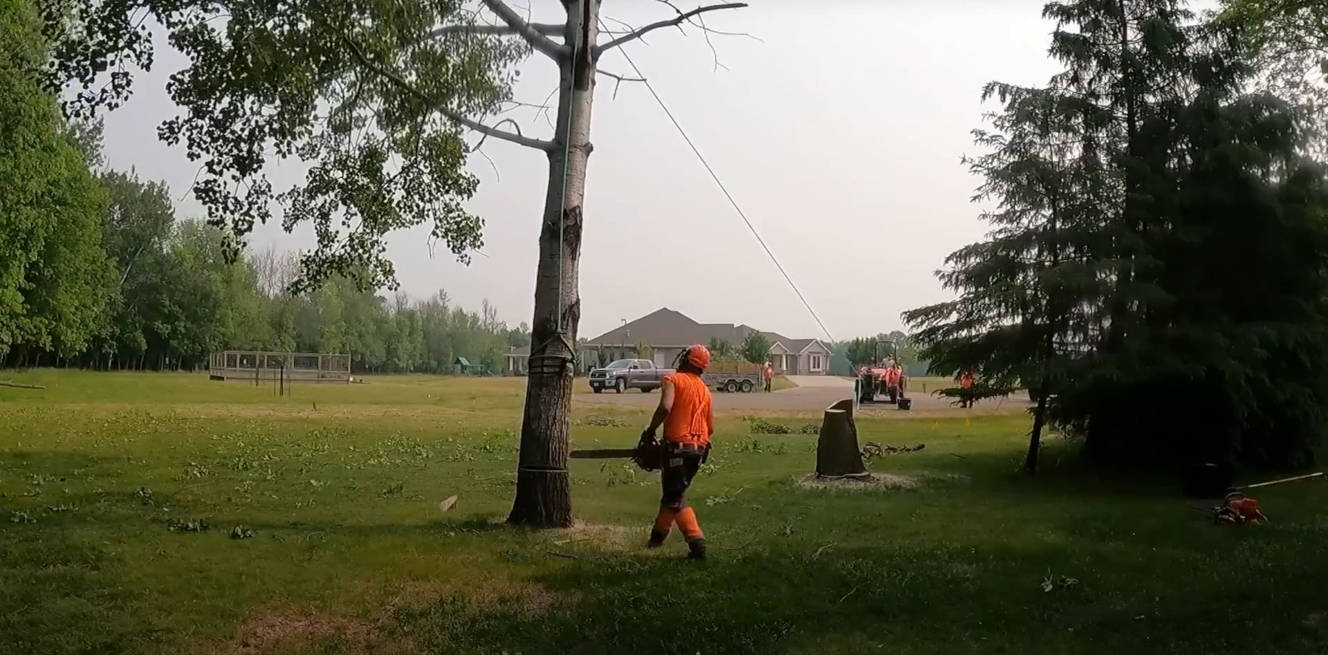 Professional tree trimming and cutting services in Kirkland, WA Arborist performing professional tree cutting and trimming with chainsaw