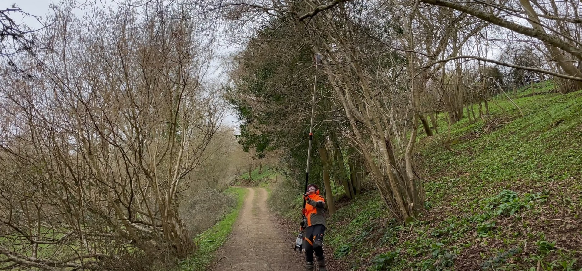 Emergency arborist responding to tree hazard in wooded area Professional emergency tree service working in challenging conditions