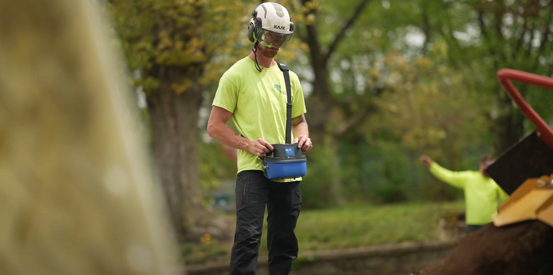 Certified arborist performing safe tree trimming in Kirkland Professional arborist with safety equipment trimming trees