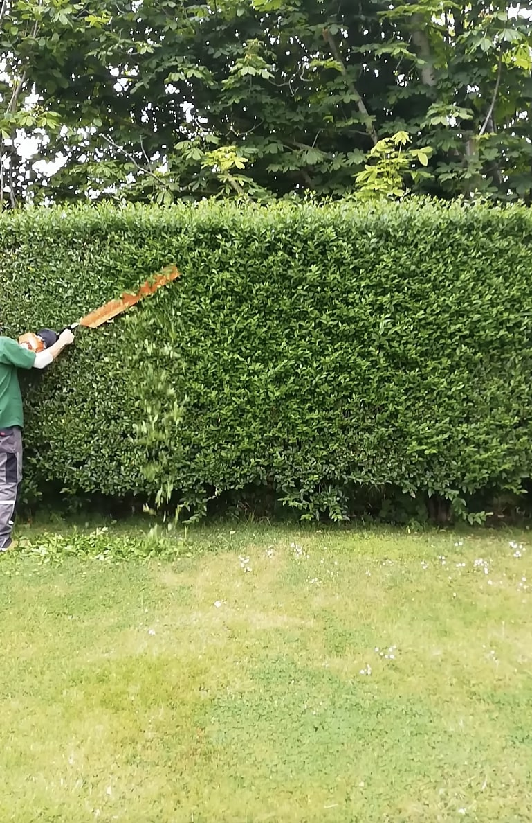 Expert hedge trimming and shrub maintenance for beautiful landscape design Professional hedge trimming service maintaining perfectly shaped hedges in residential landscape