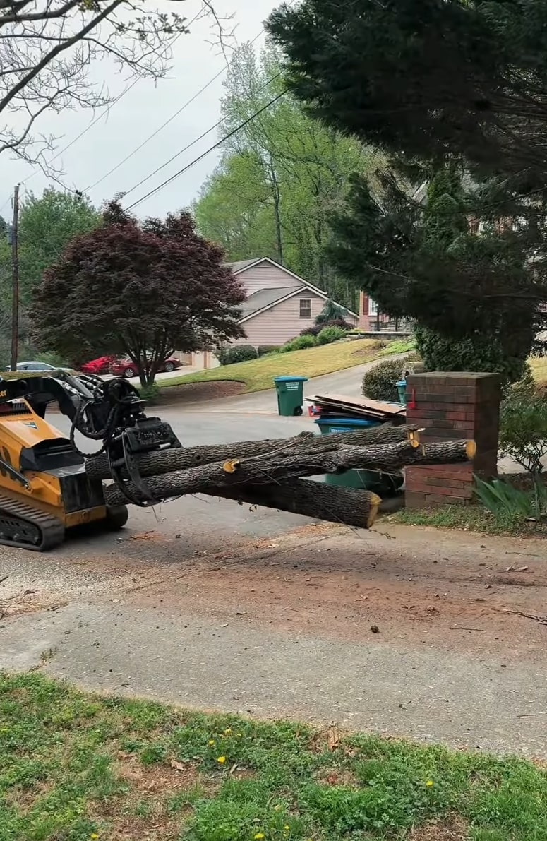 Professional tree removal and stump grinding services in Kirkland Tree removal equipment and machinery working on large tree trunk removal